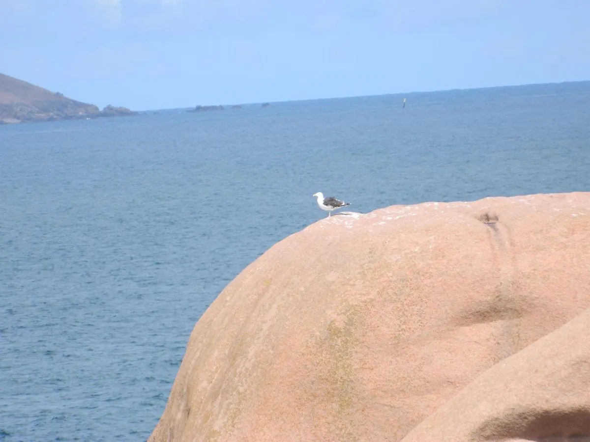 Maison A 7Mn Ses Plages Binic Tregomeur France